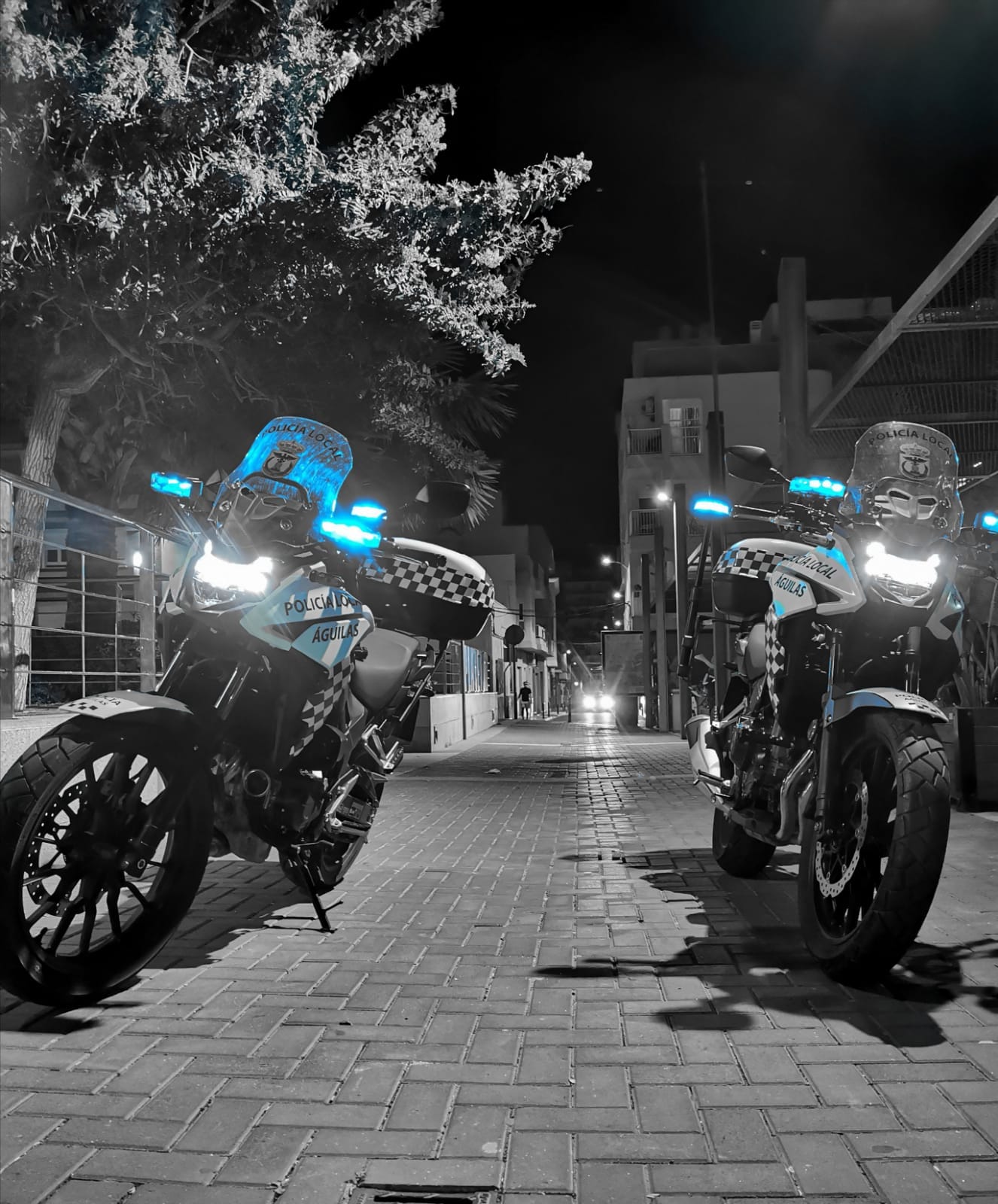 El Carnaval termina sin que haya incidencias relevantes