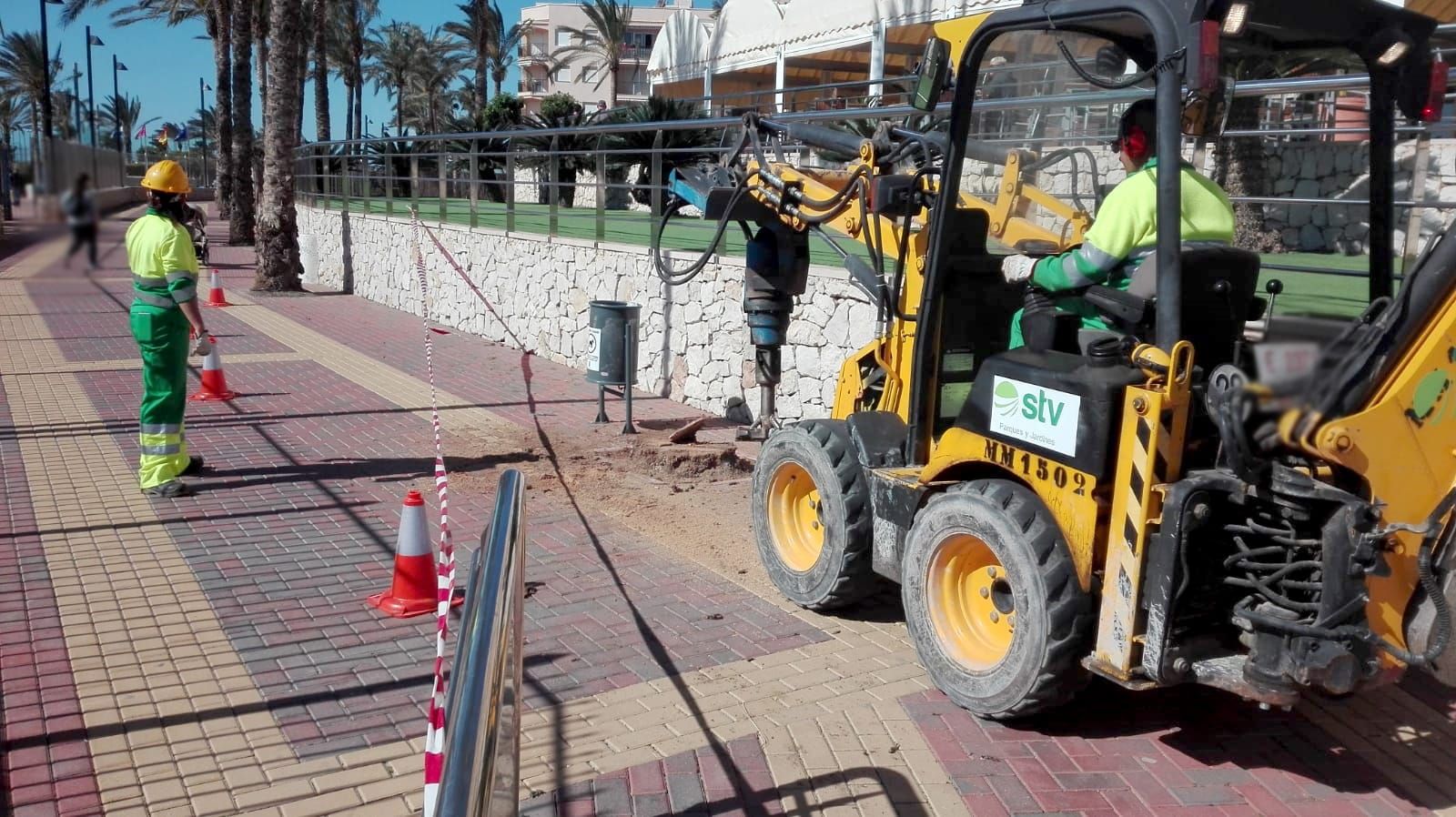 Comienza la campaña de destoconado en Águilas