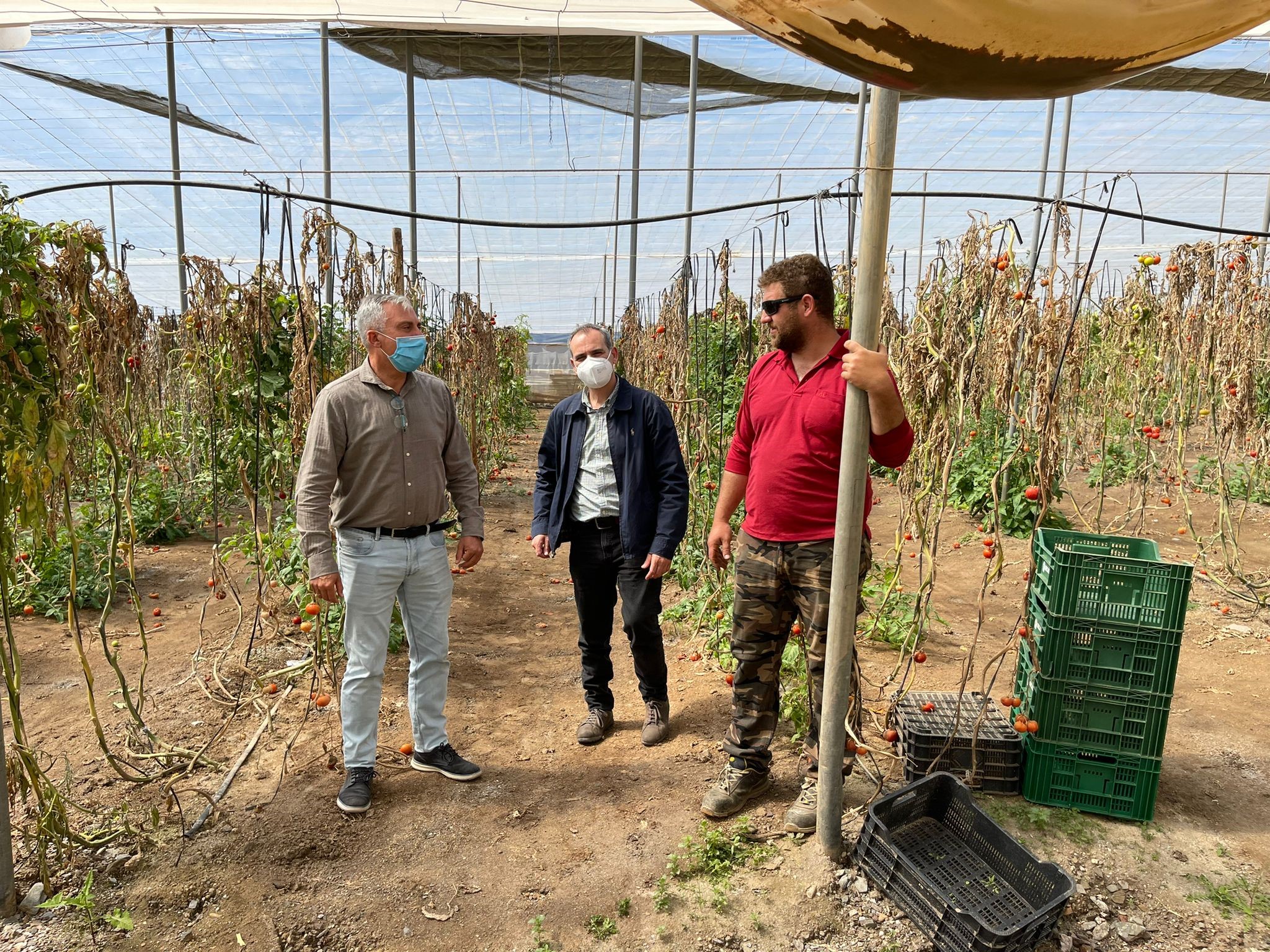 La Concejalía de Agricultura se suma a las peticiones de Asaja ante las pérdidas causadas en el sector por las lluvias