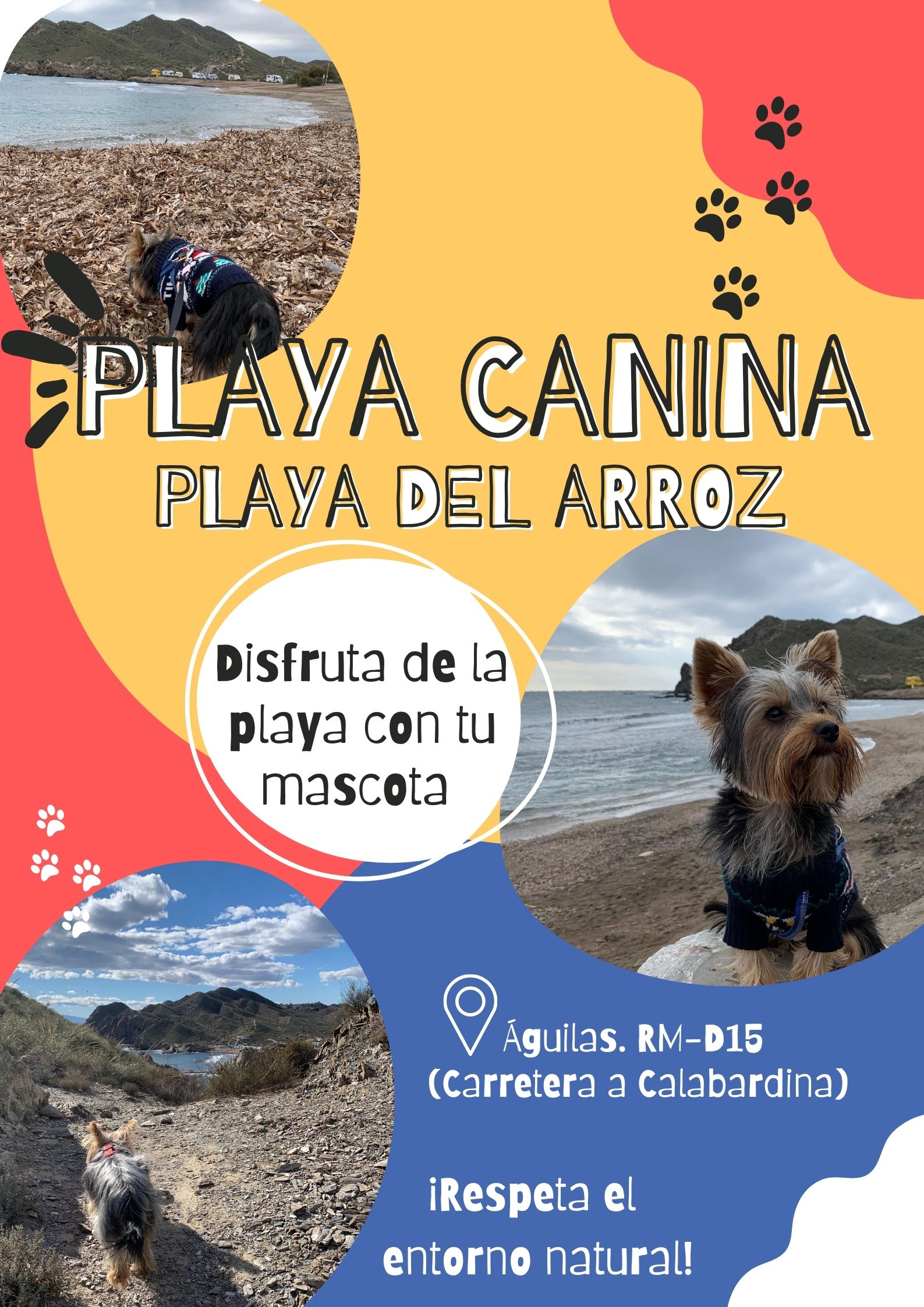 El Arroz se convertirá en una playa canina