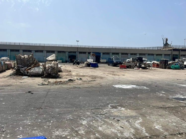 El Ayuntamiento solicita a la Dirección General de Litoral la limpieza y desinsectación del Puerto Pesquero