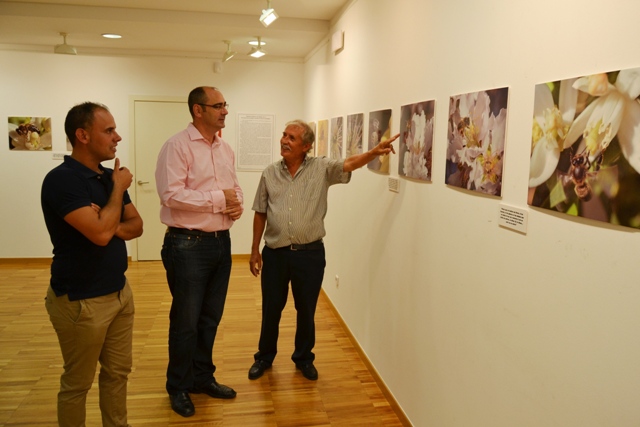 Juan Hernández Calvo presenta en Águilas una exposición fotográfica sobre abejas  