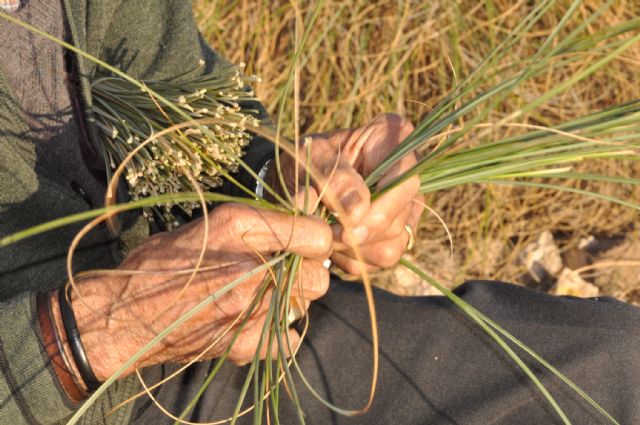 La Asociación de Amigos del Esparto llevará a cabo exhibiciones los viernes del mes de julio