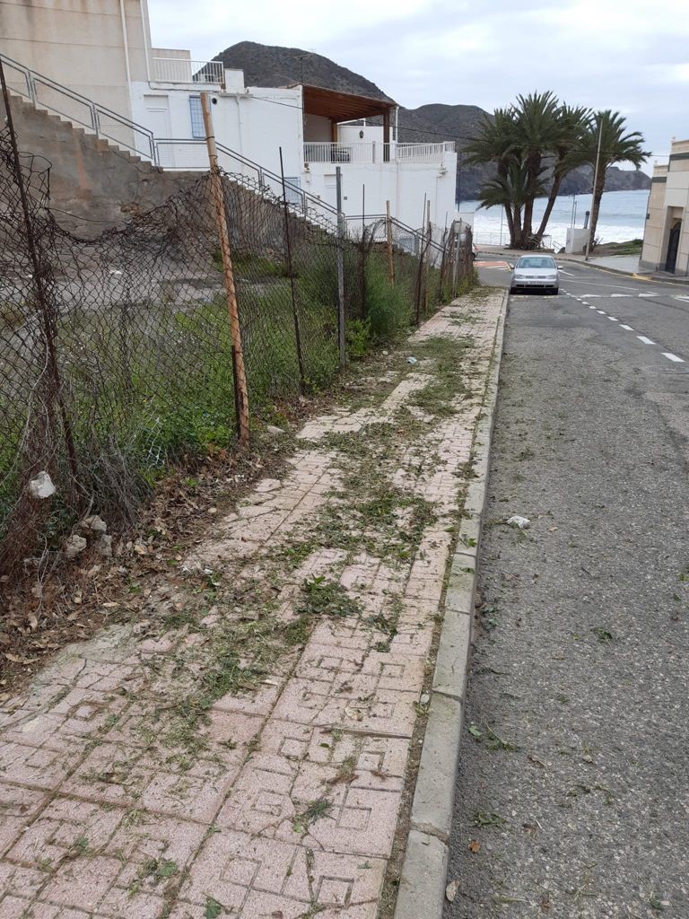 La concejalía de Limpieza lleva a cabo labores de desbroce en aceras de la localidad