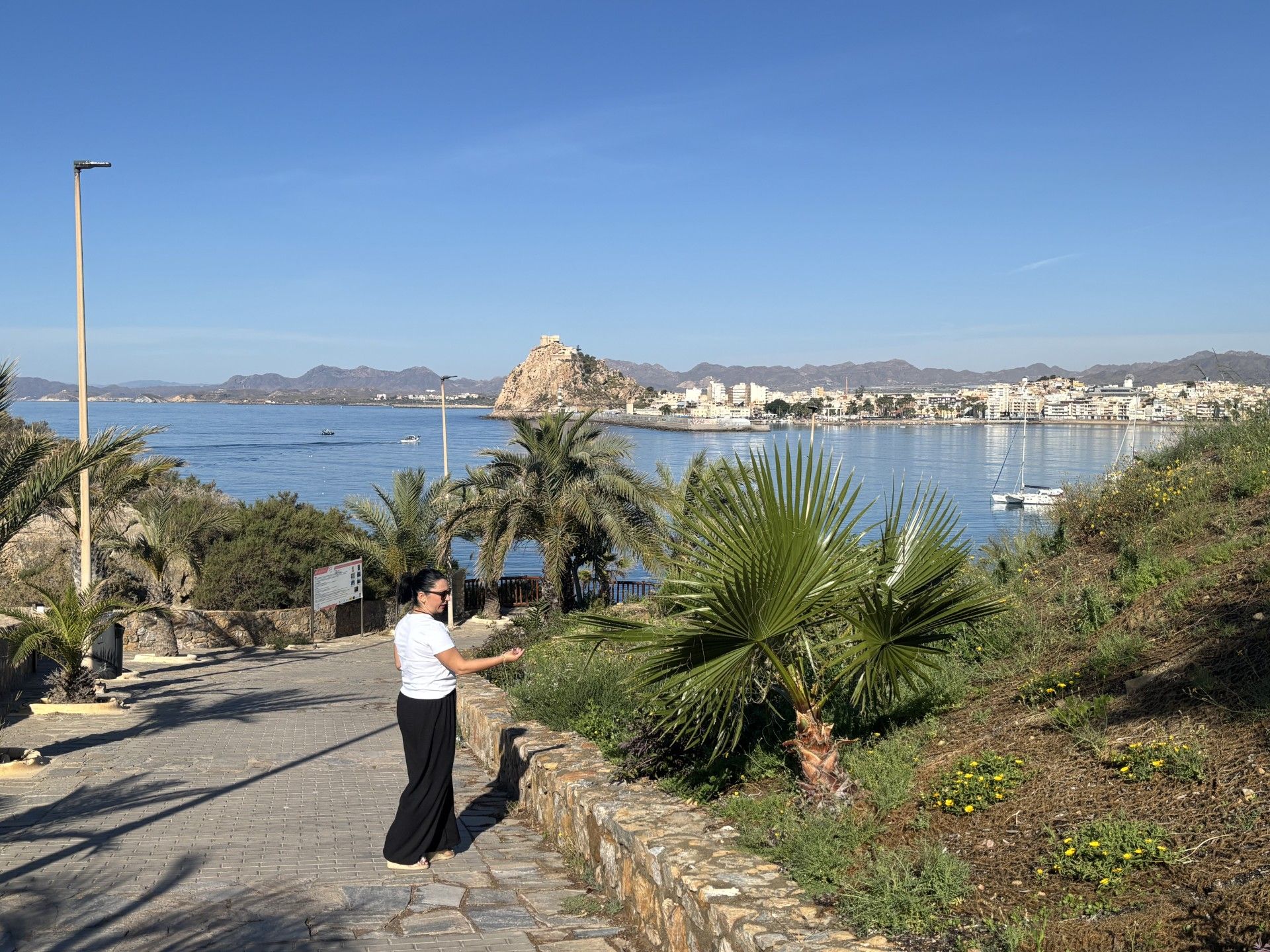 El Ayuntamiento de Águilas finaliza los trabajos de renaturalización y mejora del hábitat en la zona verde del Pico de la Aguilica