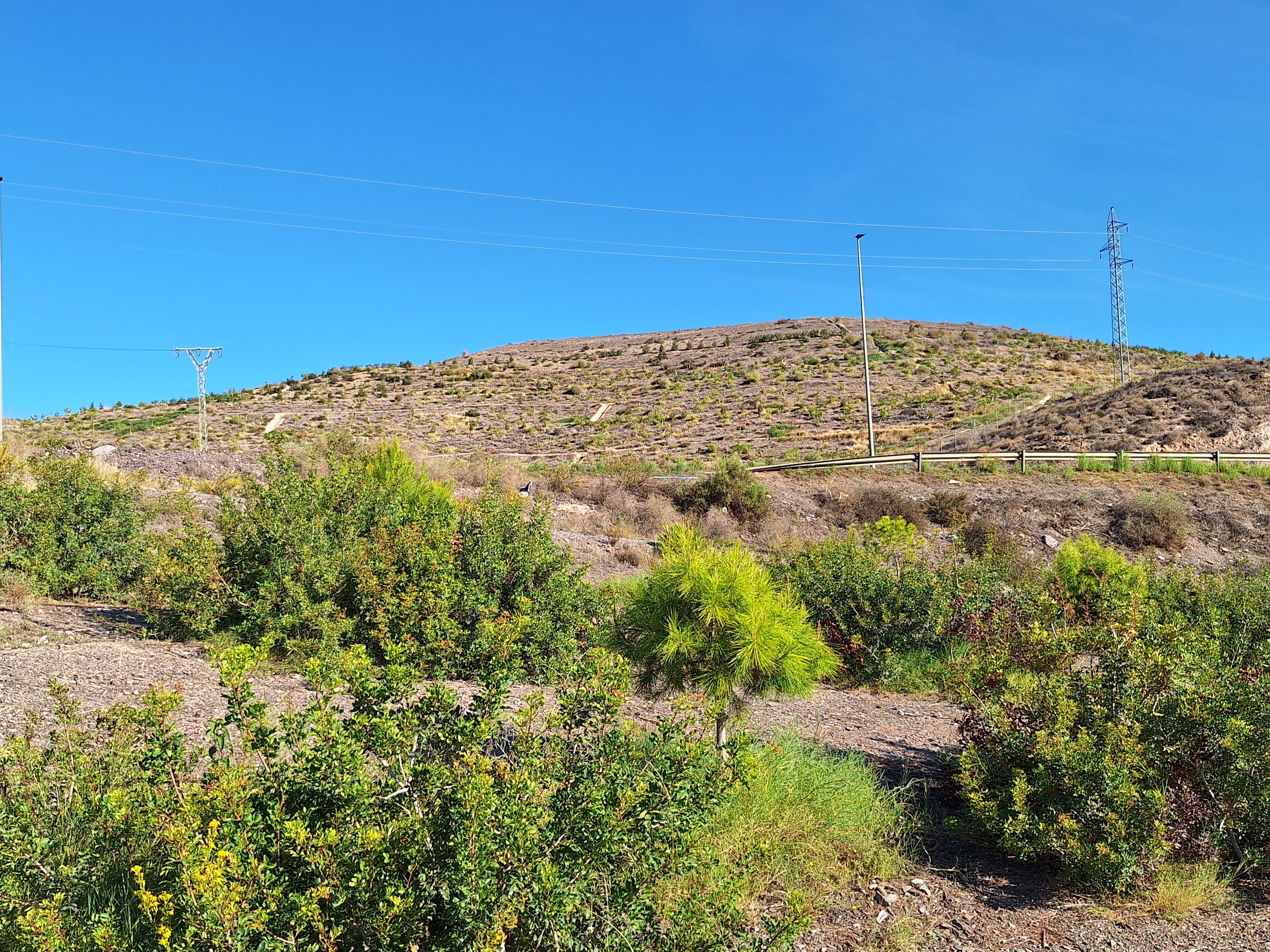 El Ayuntamiento contratará a 20 alumnos-trabajadores desempleados a través del programa experiencial “Nueva vida para la antigua escombrera municipal y su entorno, Fase III”
