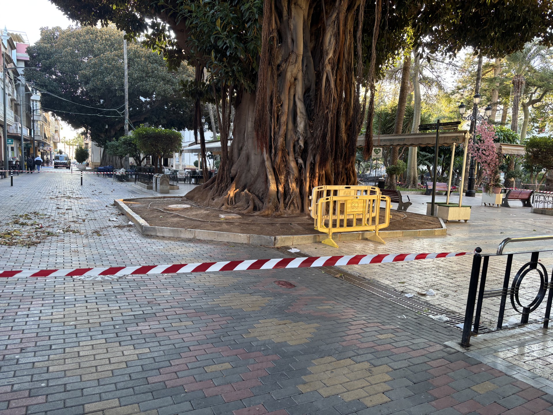 El municipio continúa en alerta amarilla por viento