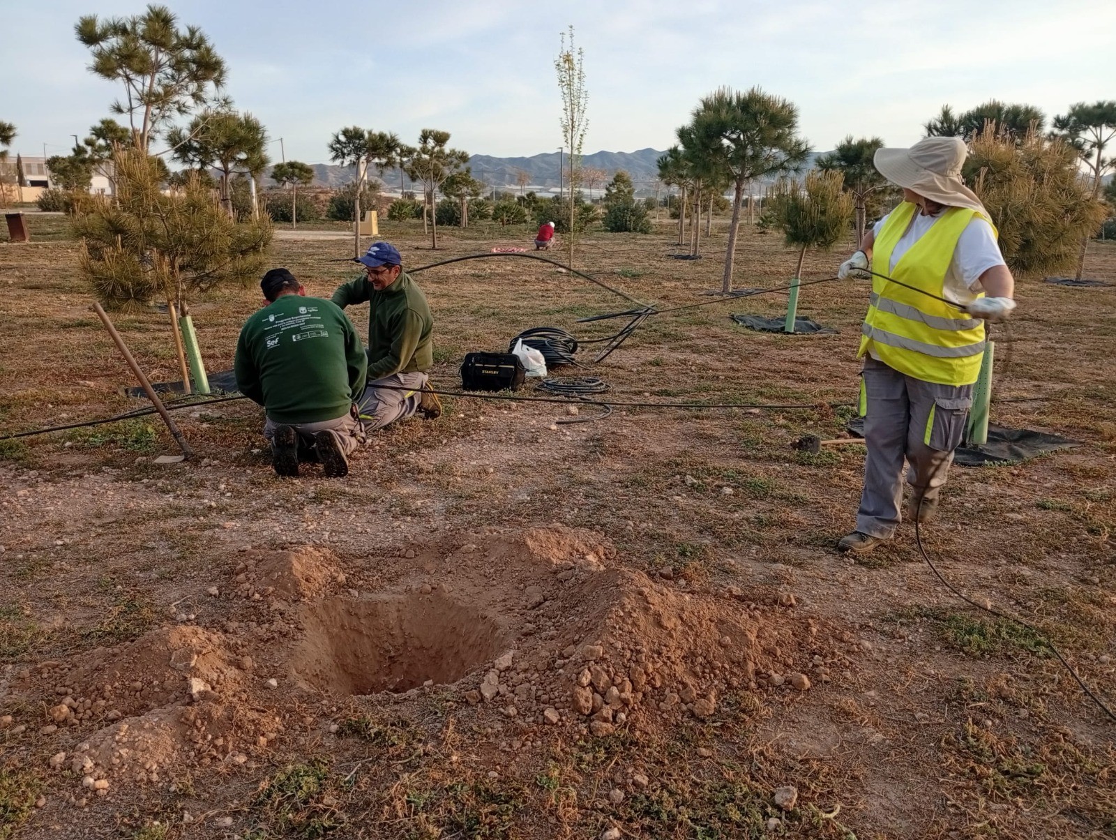 Continúan los trabajos de plantación de arbolado en distintos puntos de la localidad 