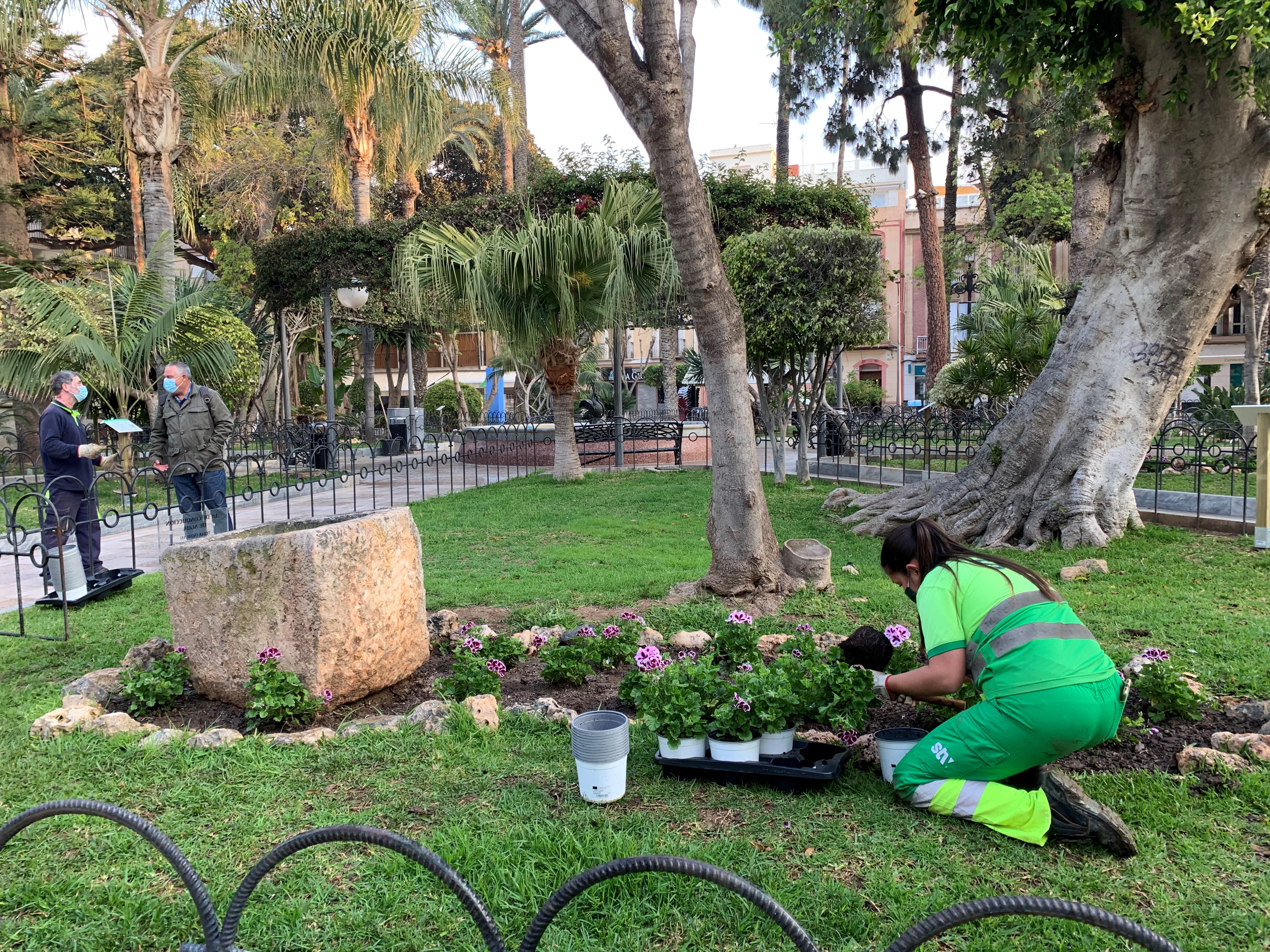 Los jardines de Águilas se llenan de flores