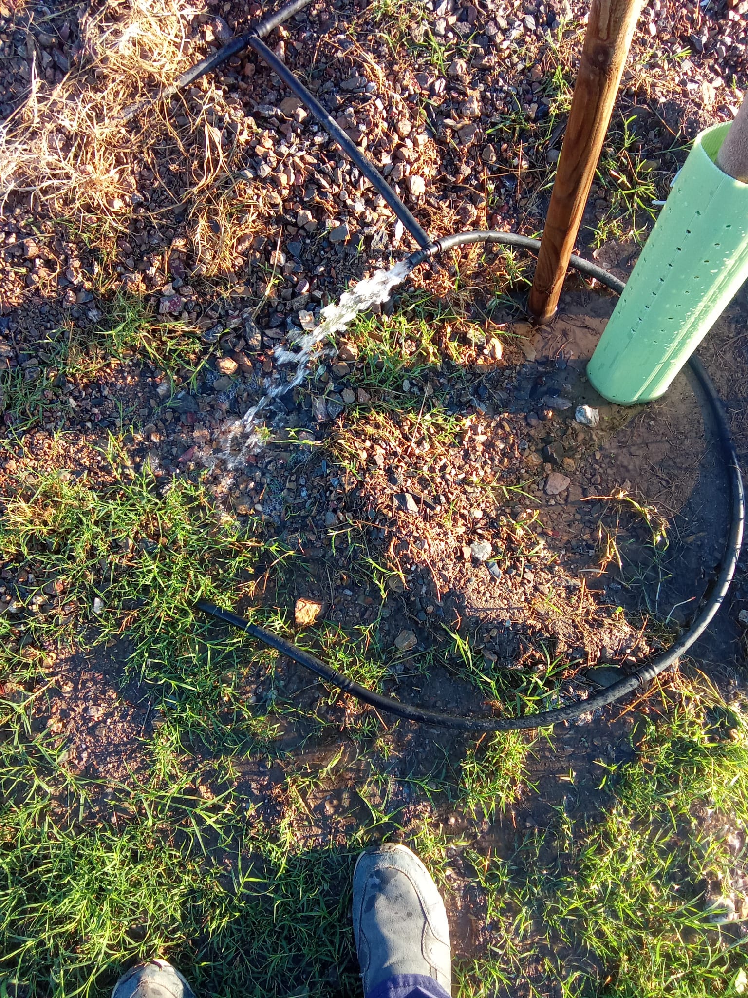 Las zonas verdes de la localidad, foco de actos vandálicos planificados con la intención de causar el mayor daño posible