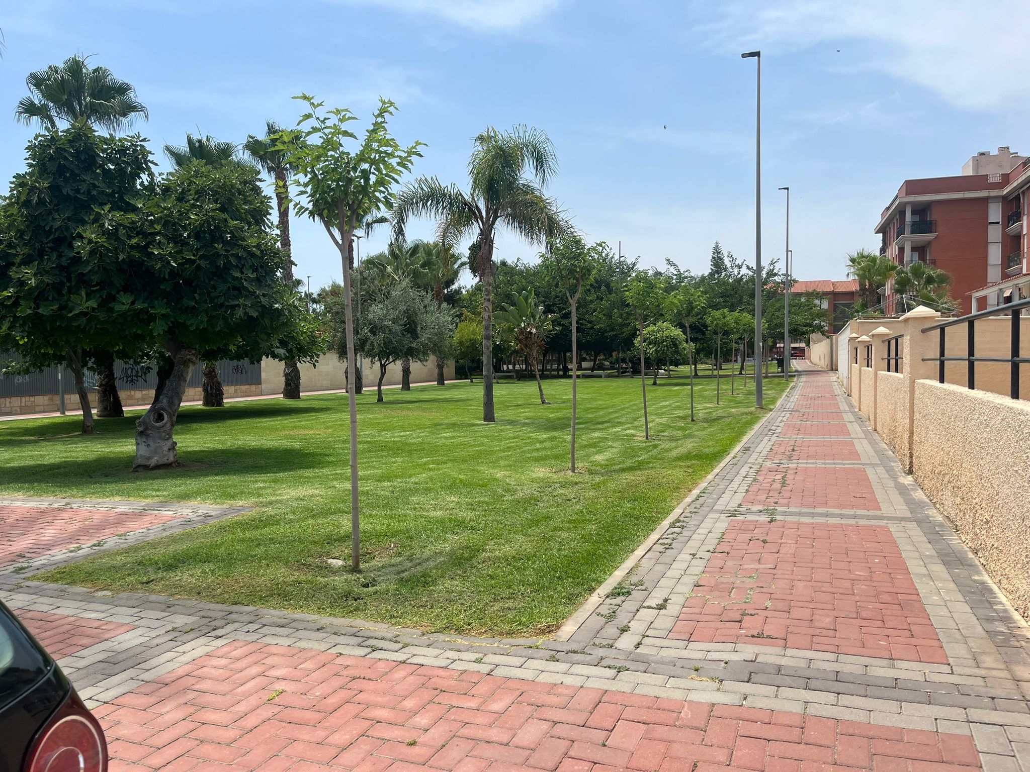 El Ayuntamiento continúa su campaña de plantaciones de árboles para crear refugios climáticos