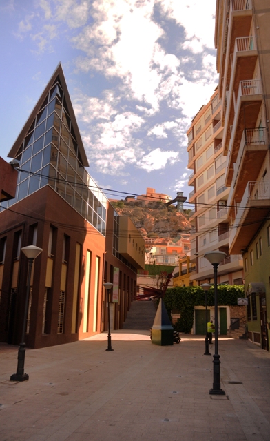 Agricultura prepara una jornada técnica en Águilas sobre el control de virosis transmitidas por insectos vectores 