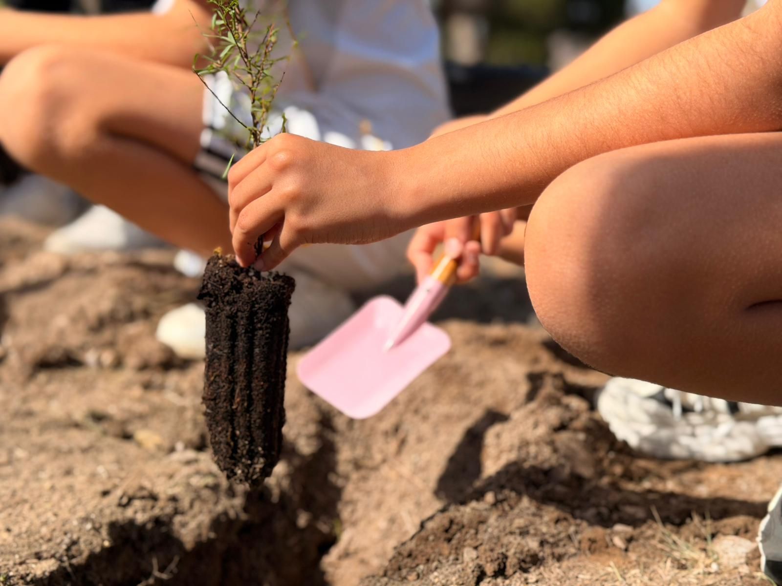 El alumnado de Ecoescuelas Litorales participa en una actividad de reforestación