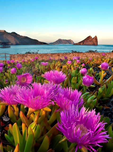 Agenda de actos del fin de semana en Águilas 