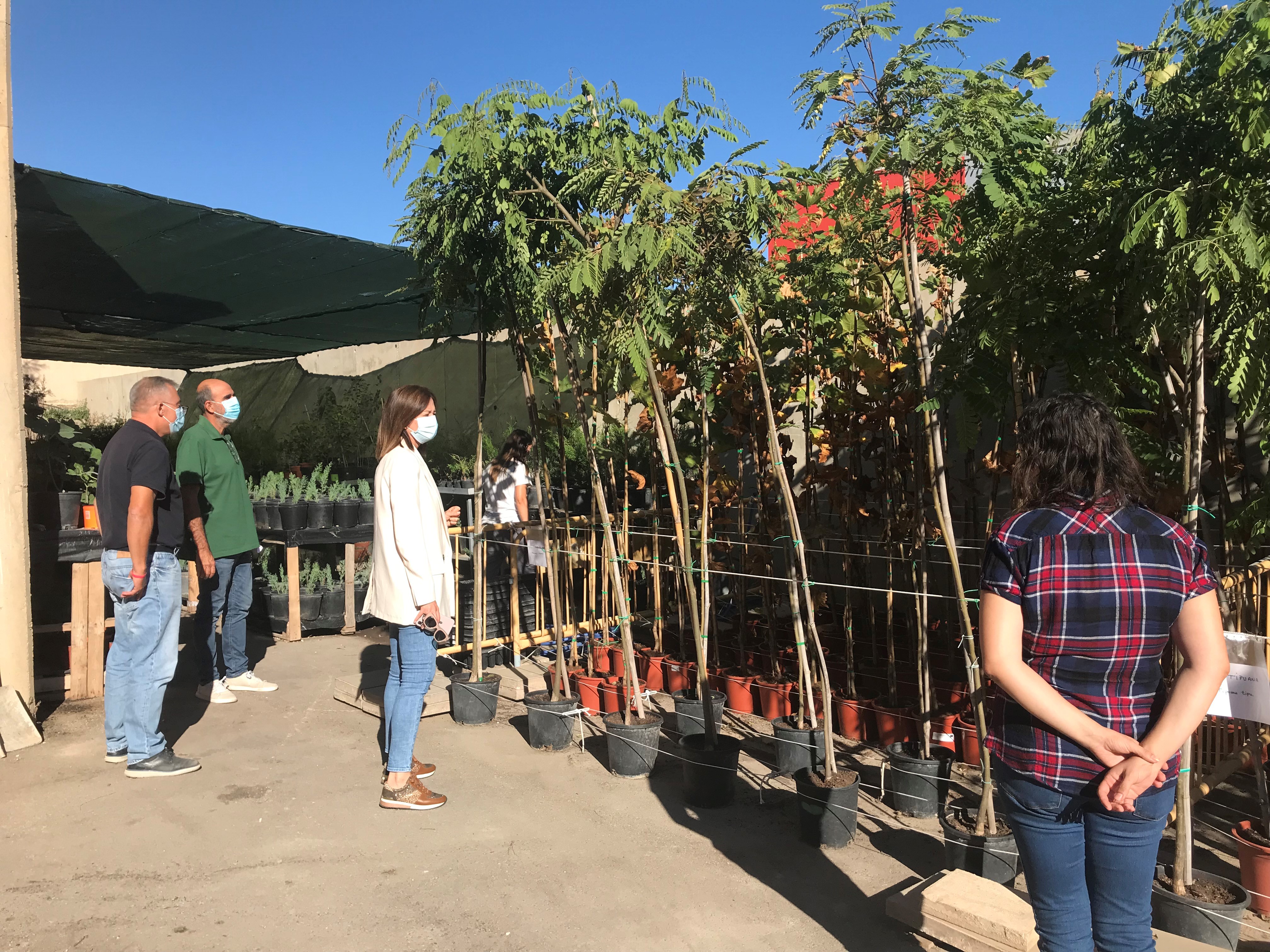 El Ayuntamiento planta más de 1.800 árboles y arbustos en distintas zonas de la localidad 