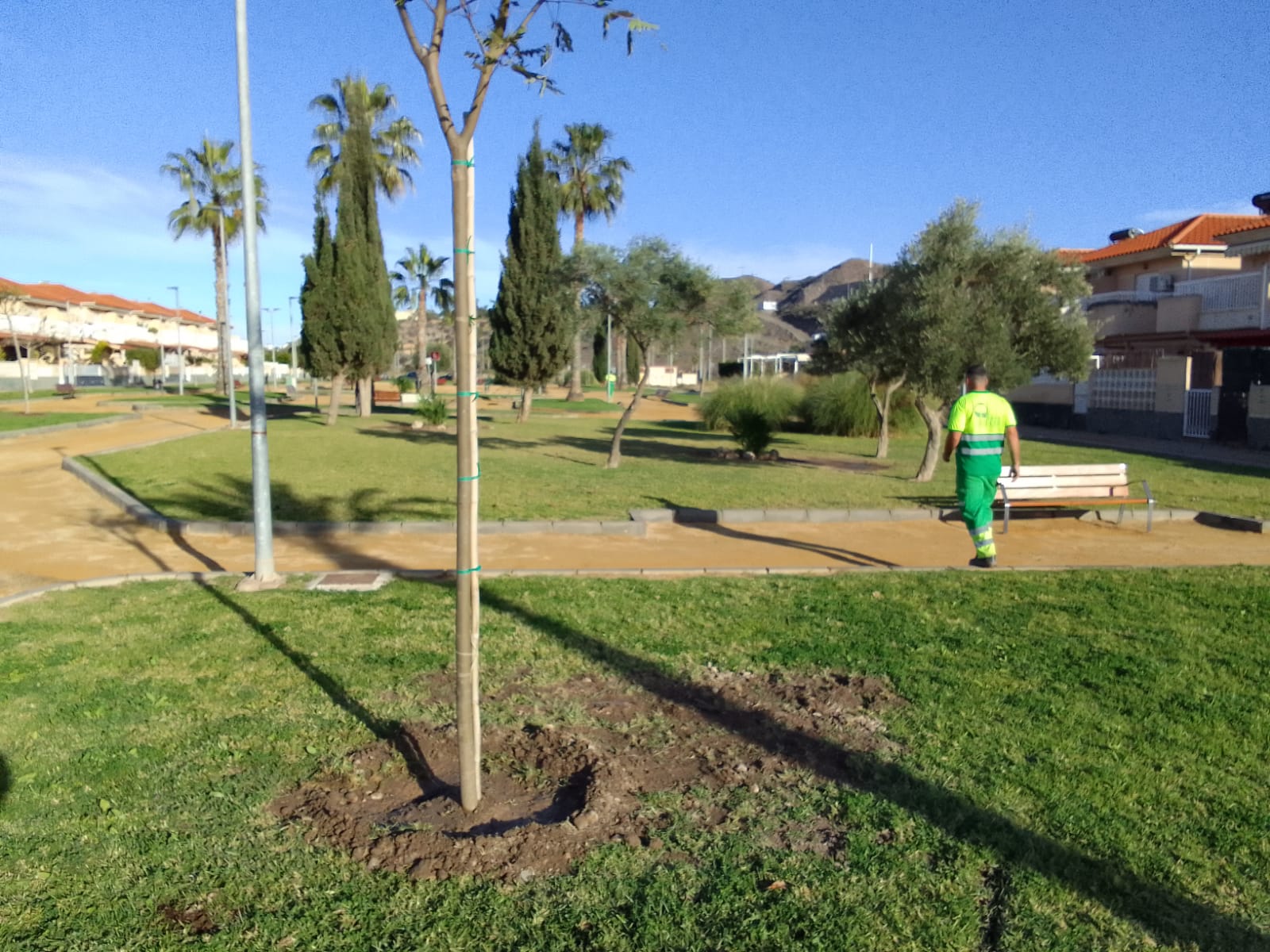La Concejalía de Zonas Verdes lleva a cabo la plantación de 25 árboles en Los Jardines