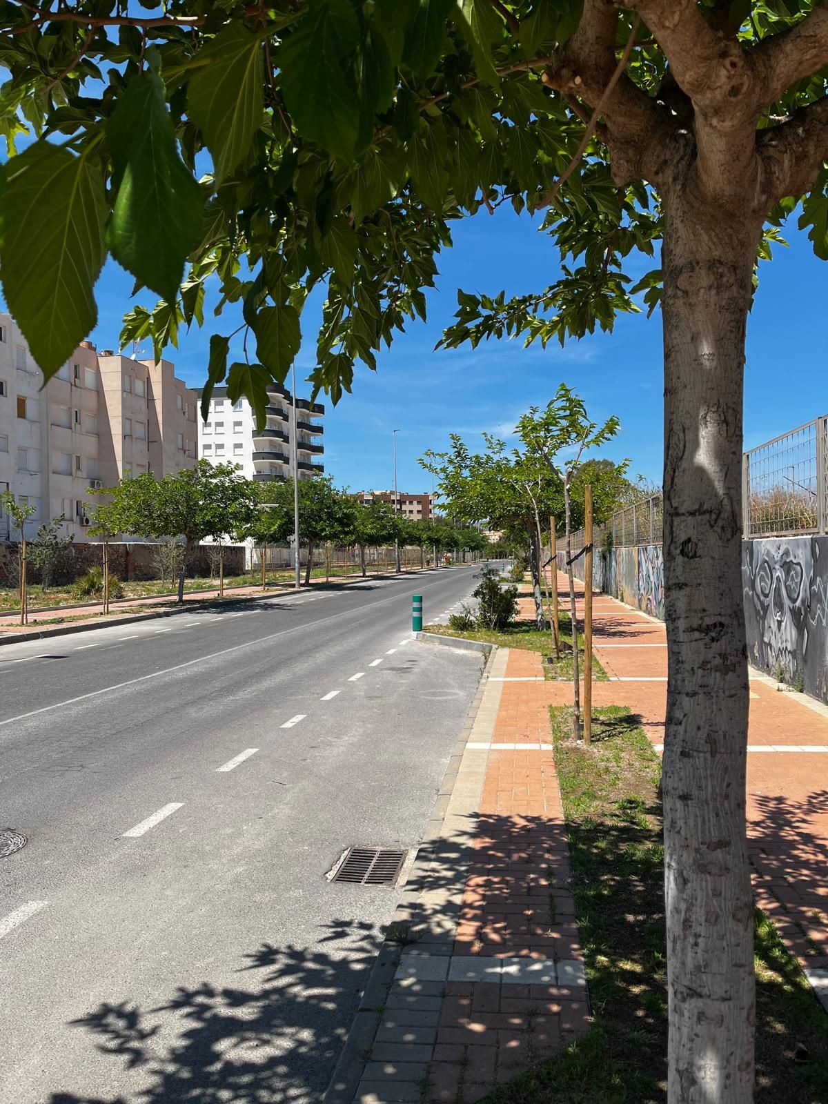 Águilas culmina la renaturalización de la Calle Juan Pablo II, un paso hacia un entorno urbano más sostenible