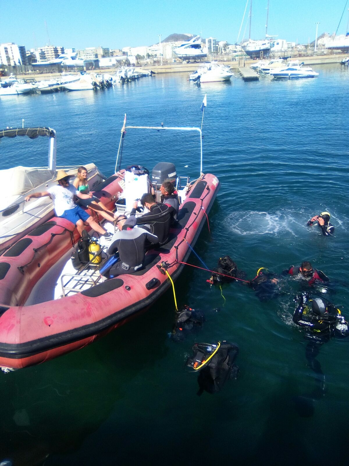 Más de 600 kilos de basura fueron extraídos del fondo marino en una jornada organizada por la Concejalía