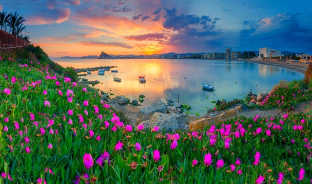 Mario Navarro vuelve a ganar el Concurso Fotográfico “Objetivo Águilas” 