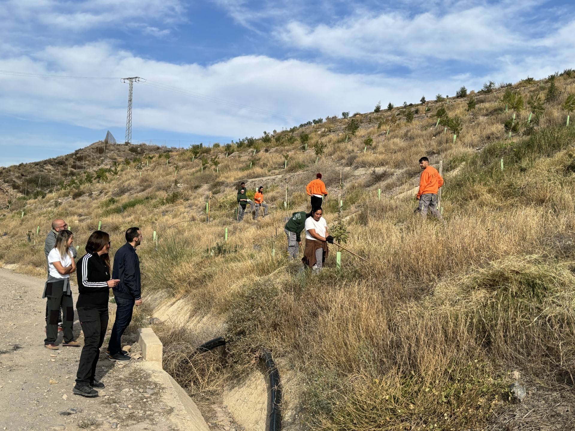 Los alumnos trabajadores participantes en el PMEF de jóvenes beneficiarios de Garantía Juvenil han llevado a cabo una forestación de más de 2.000 árboles y arbustos