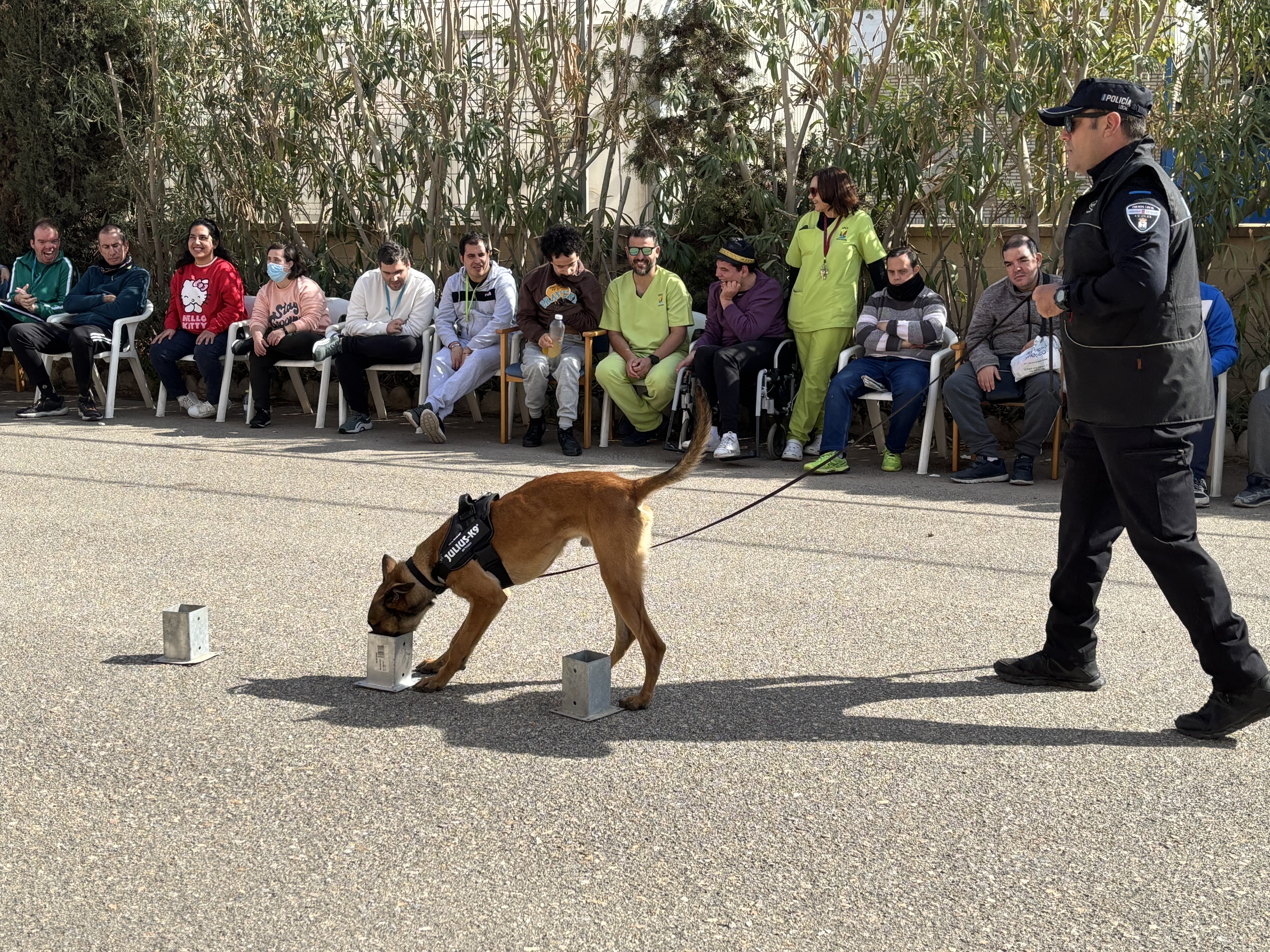 La unidad canina especializada en la detección de sustancias estupefacientes de la Policía Local realiza una exhibición en el Centro Ocupacional Urci