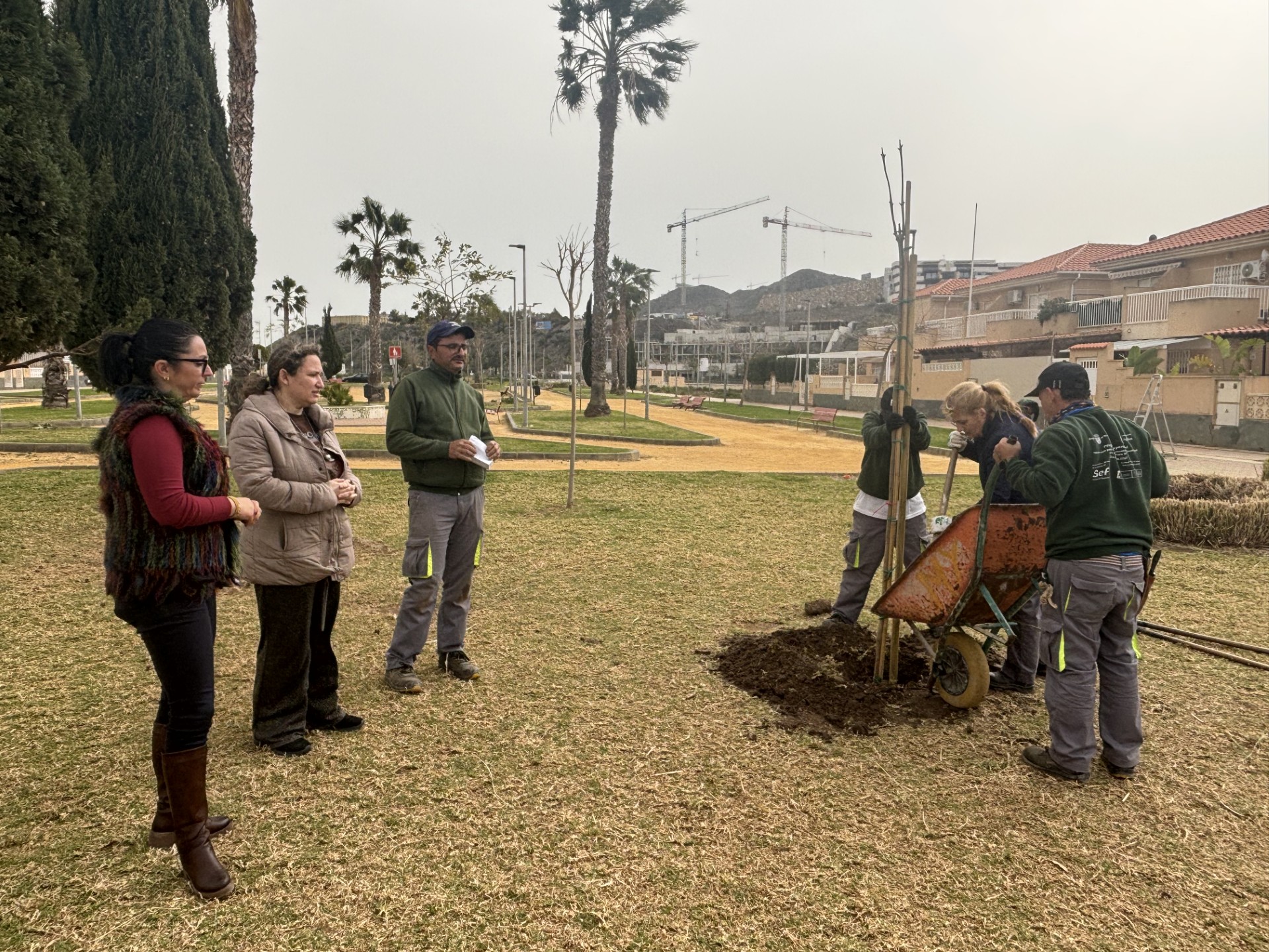 Continúan los trabajos de plantación de arbolado en distintos puntos de la localidad 