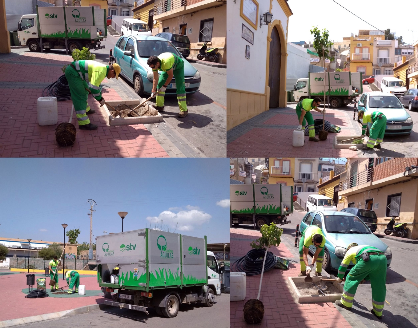 Moreras, naranjos y plantas arbustivas darán una renovada imagen a distintas calles del municipio
