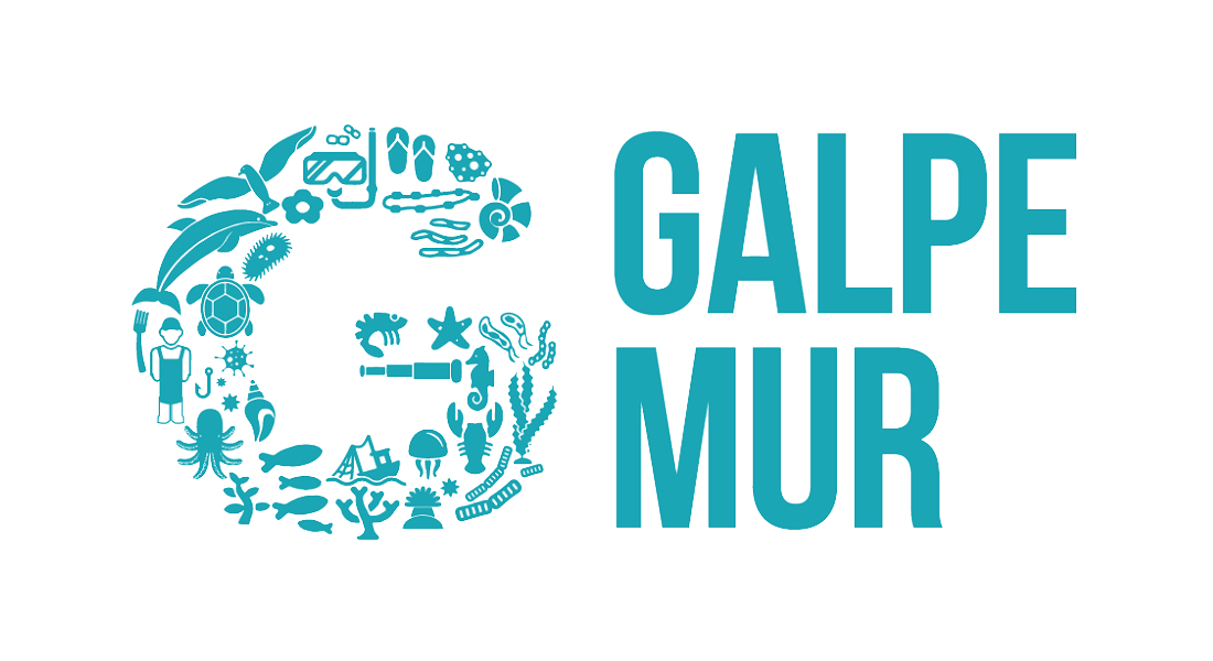 Fondo Europeo Mar&iacute;timo y de Pesca