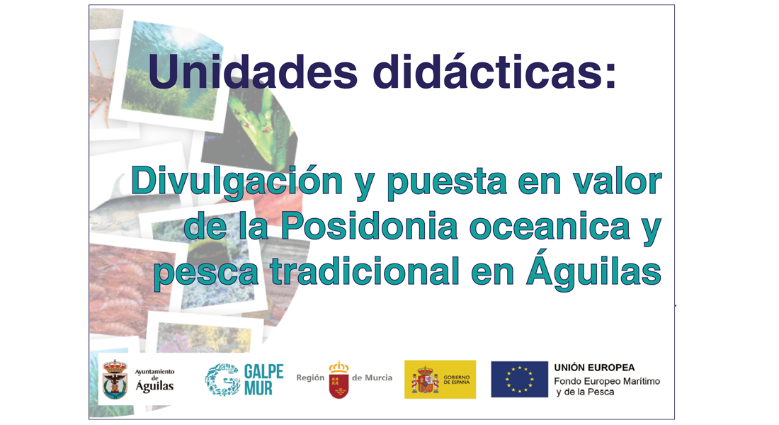 Divulgaci&oacute;n y puesta en valor de la Posidonia oce&aacute;nica
